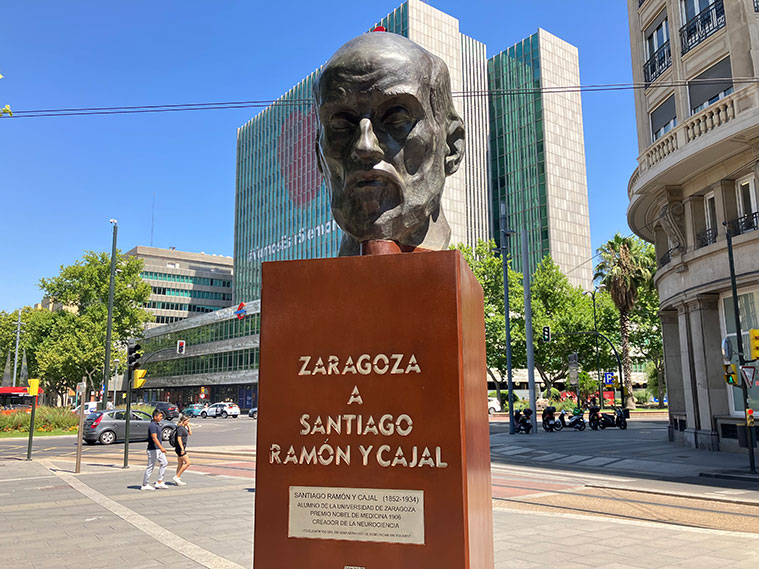 El busto es una réplica de la escultura en bronce de Santiago Ramón y Cajal modelada por el escultor Ángel Bayod Usón en el año 1933