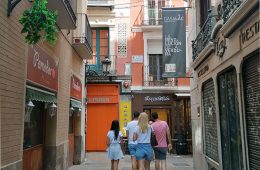 Calle Mártires del Tubo de Zaragoza