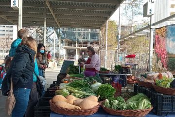 Mercado Agroalimentario de Parque Venecia