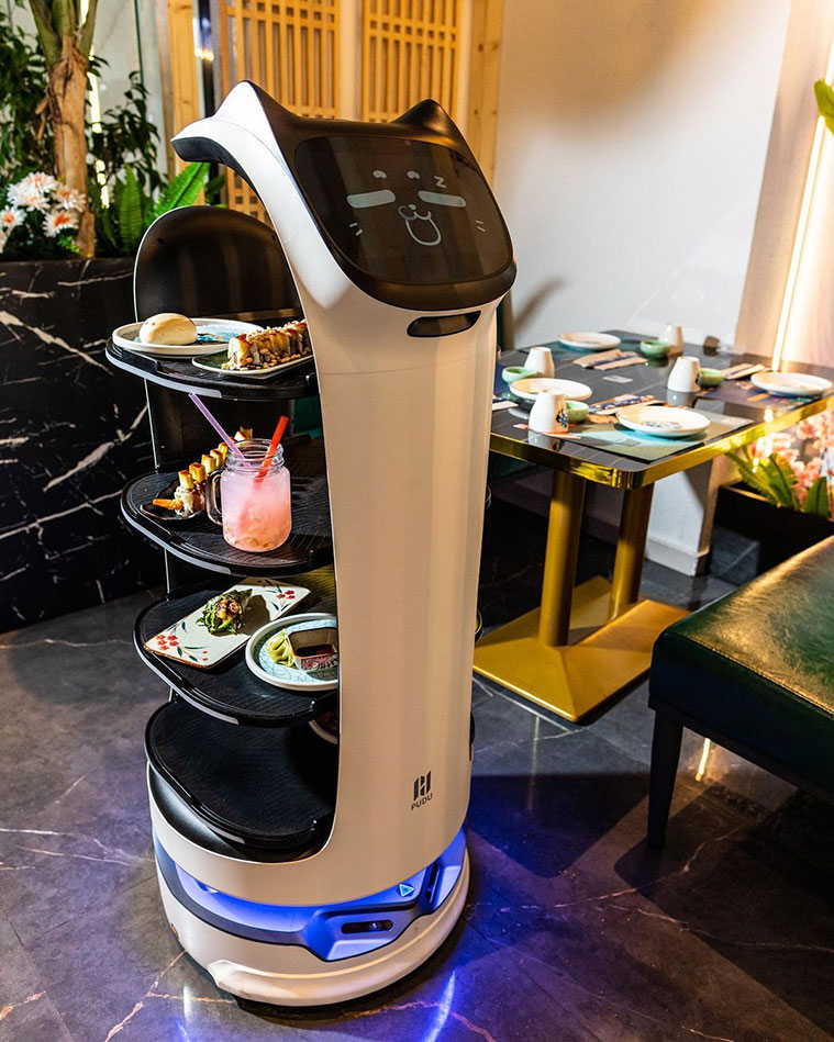 gata camarera robot en el restaurante Sushi Yumi