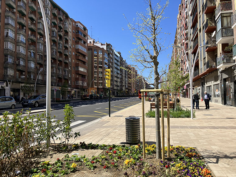 Las aceras de la Avenida Navarra están bellamente adornadas con dos amplias bandas verdes, donde se distribuyen árboles, arbustos y plantas florales, creando un paisaje urbano vibrante y lleno de vida
