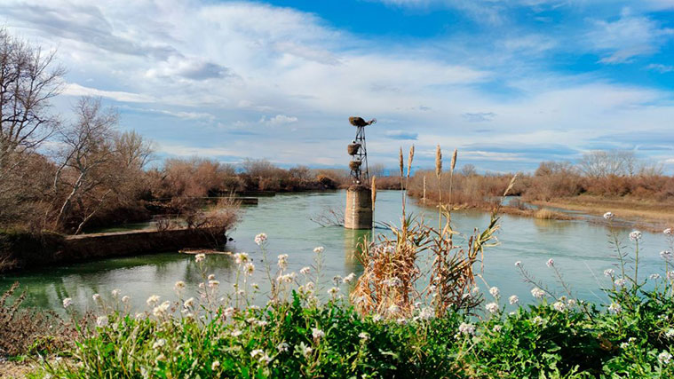 El río Ebro a su paso por Alcalá de Ebro