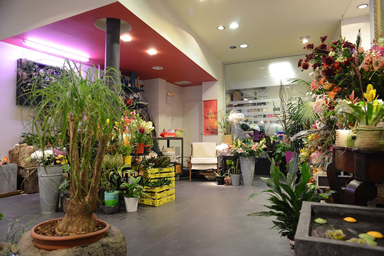 interior de la floristeria la moderna zaragoza