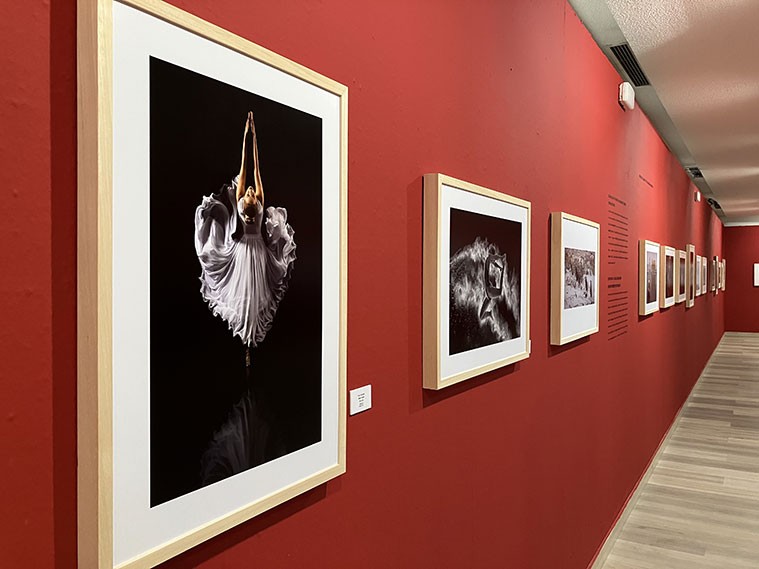 Ya puedes visitar en el Patio de la Infanta las mejores imágenes del '99 Salón Internacional de Fotografía'