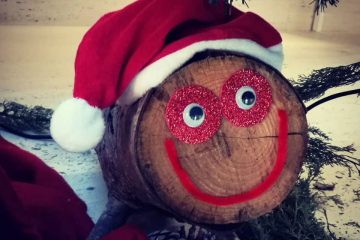¿Conoces la tradición de la tronca de Navidad?