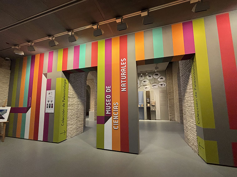 Acceso al Museo de Ciencias Naturales de Zaragoza
