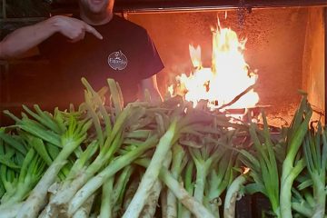 Asador Fajardo Montañana