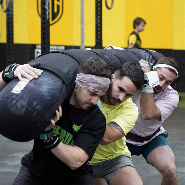 Cierzo City Zaragoza