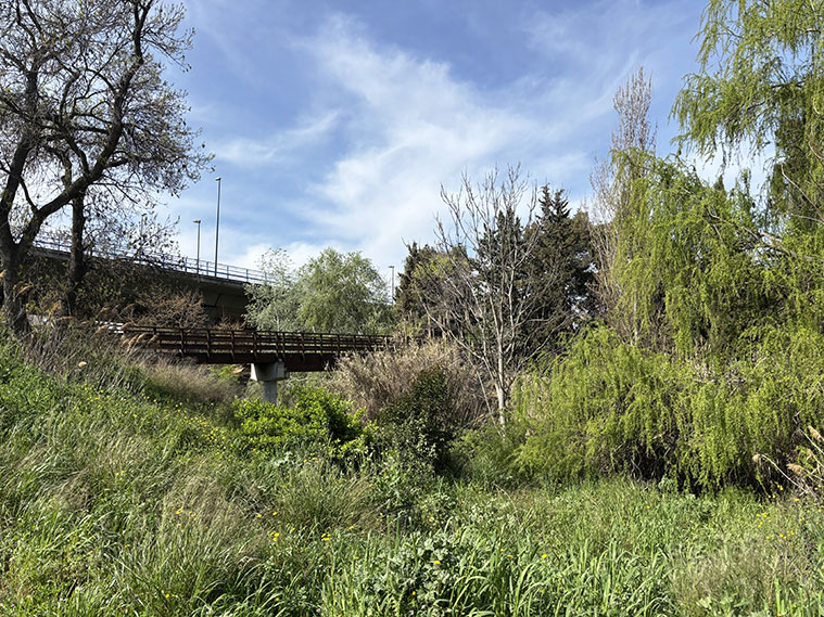 El Huerva, a su paso por el Parque Grande