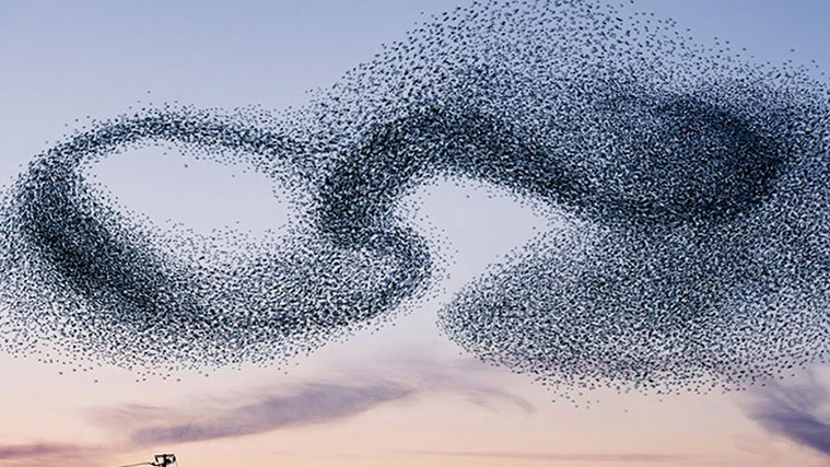 Fachada CaixaBank – ‘Transitar’ (Jou Serra)