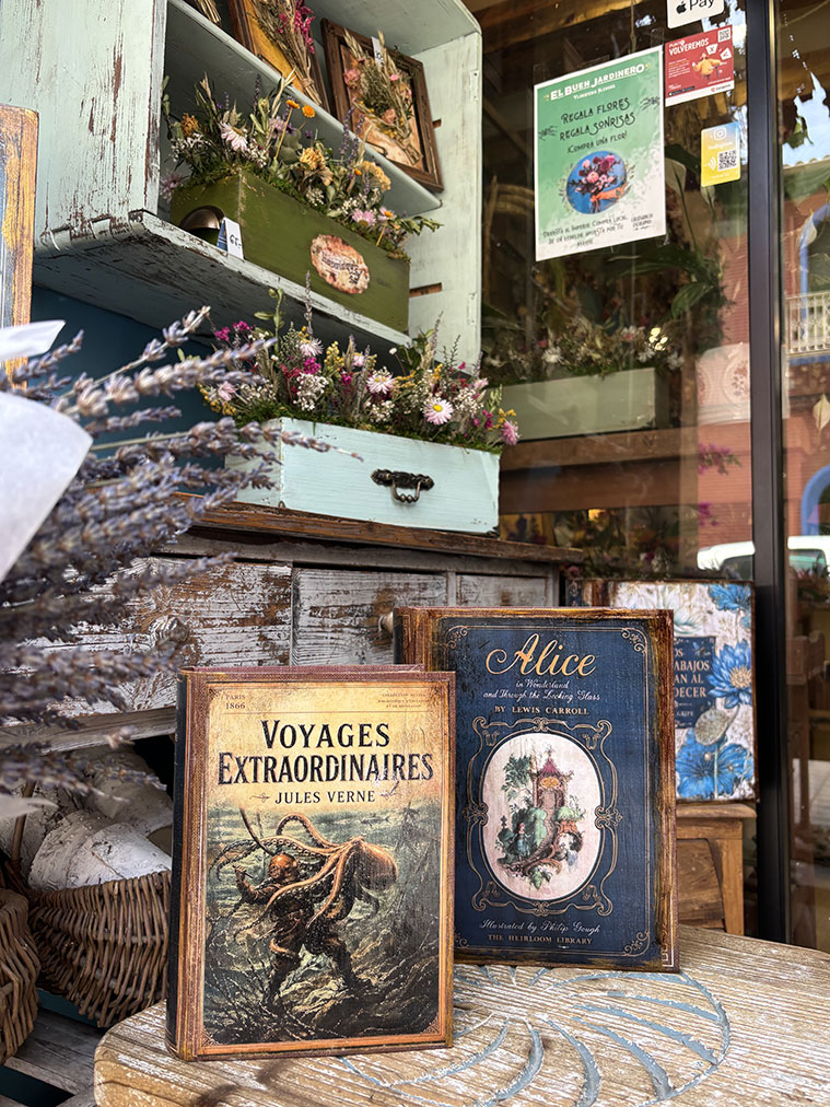 Floristería El Buen Jardinero Zaragoza