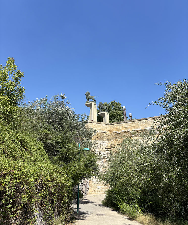 Los dos leones del Puente de Piedra que miran hacia el Arrabal