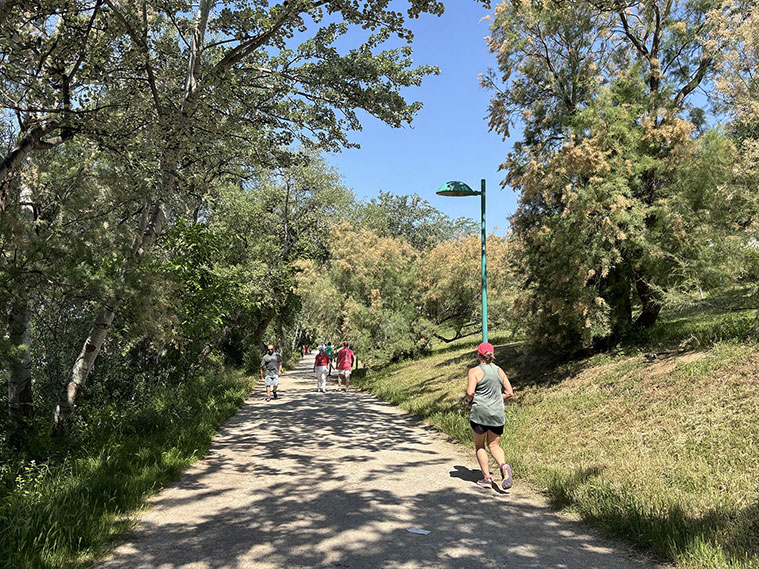 Persona corriendo por la ribera del río Ebro de Zaragoza