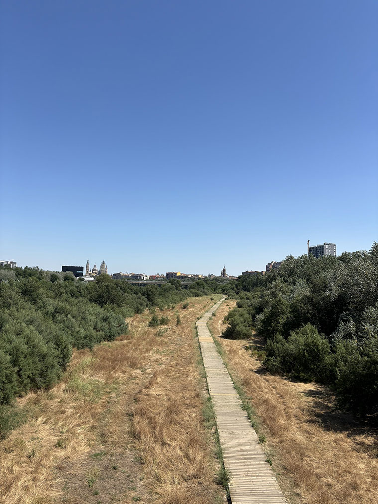 Vista de la Pasarela del Voluntariado