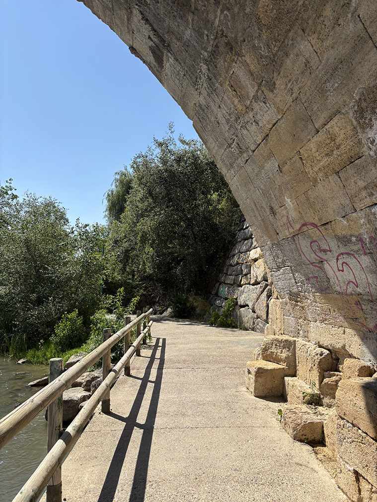 Vista del Pretil del Ebro y del Puente de Piedra