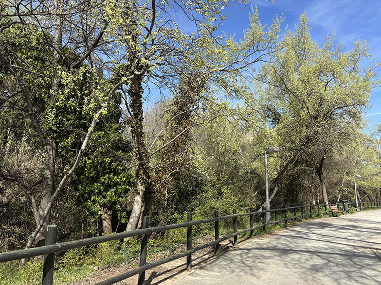 El río Huerva, a su paso por el Parque Grande