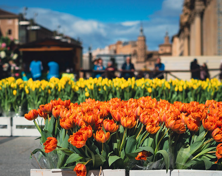 Hola Primavera en Zaragoza Mercado de las Flores