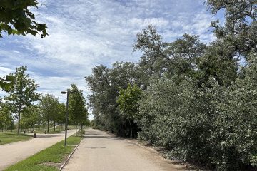 Parque Lineal de Plaza Zaragoza