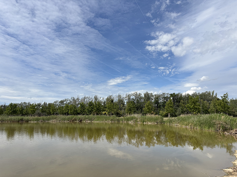 El gran lago del Parque lineal de PlaZa