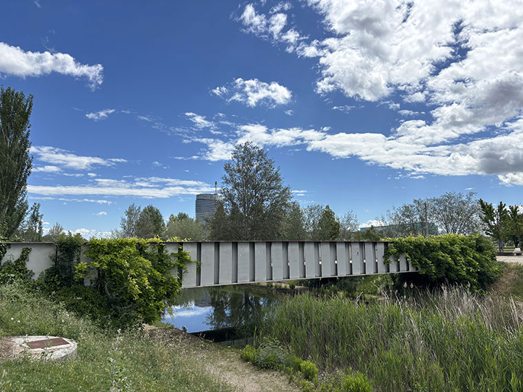 puente parque del agua