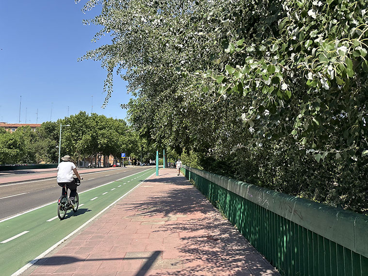 El Paseo Echegaray y Caballero a su paso por la desembocadura del Huerva
