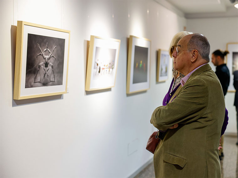 Fundación Ibercaja ofrece en el Patio de la Infanta las mejores imágenes del “101º Salón Internacional de Fotografía”