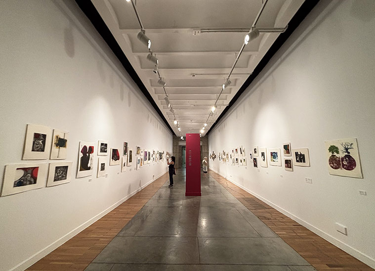 Maite Ubide una vida entre tintas en el Museo Pablo Serrano