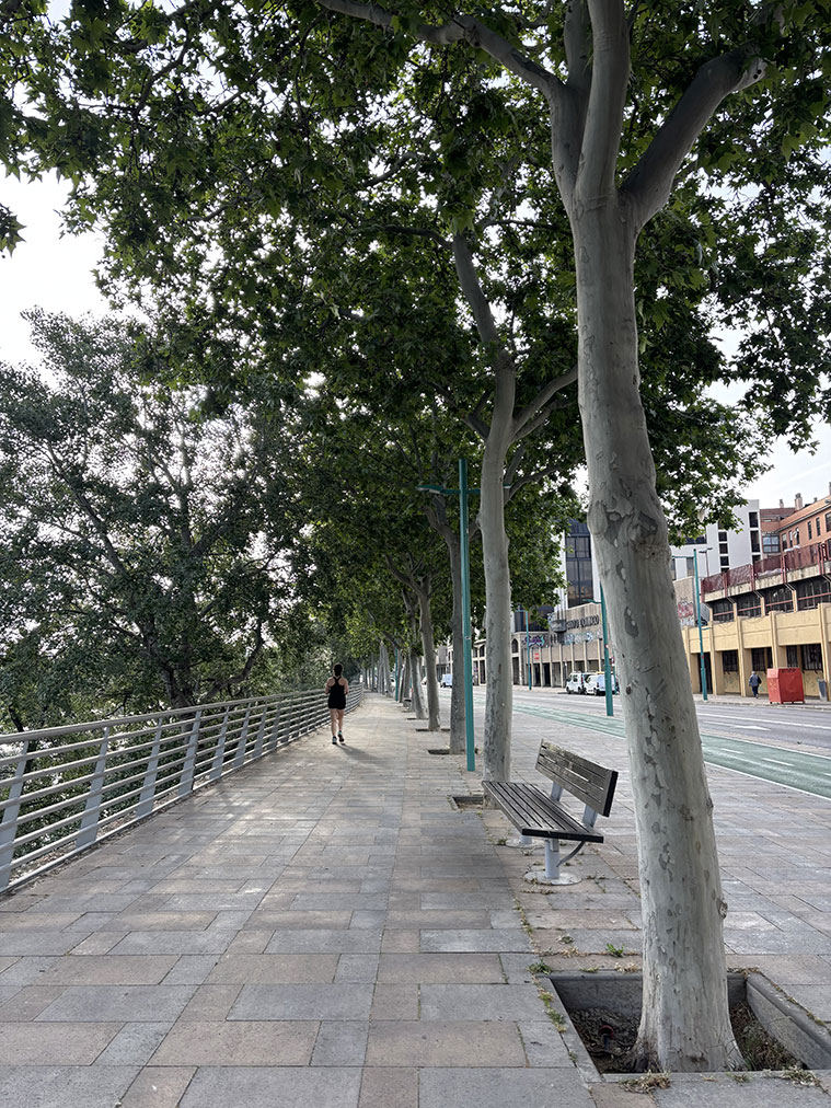 Una persona caminando por Echegaray y Caballero