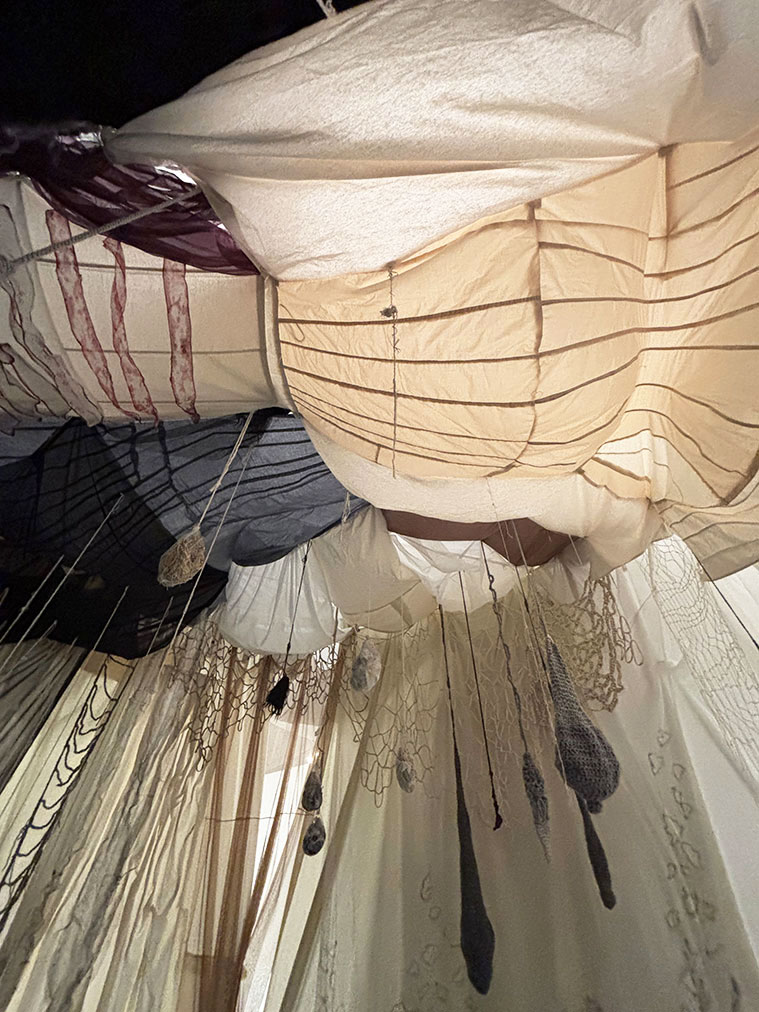 Sylvia Pennings. Echar raíces Museos Pablo Serrano
