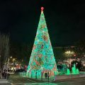 Árbol de Navidad de Zaragoza 2025