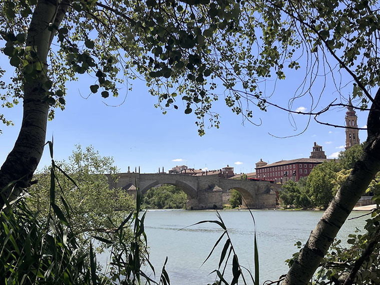 El Puente de Piedra y el Ebro vistos desde la margen izquierda