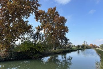 Paseo por el Canal Imperial: desde Valdefierro a Valdegurriana
