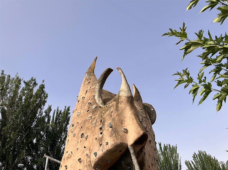 Rocódromo en el Centro Deportivo Municipal Actur