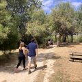 Rutas para disfrutar de Zaragoza a pie
