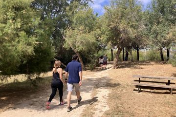 Rutas para disfrutar de Zaragoza a pie