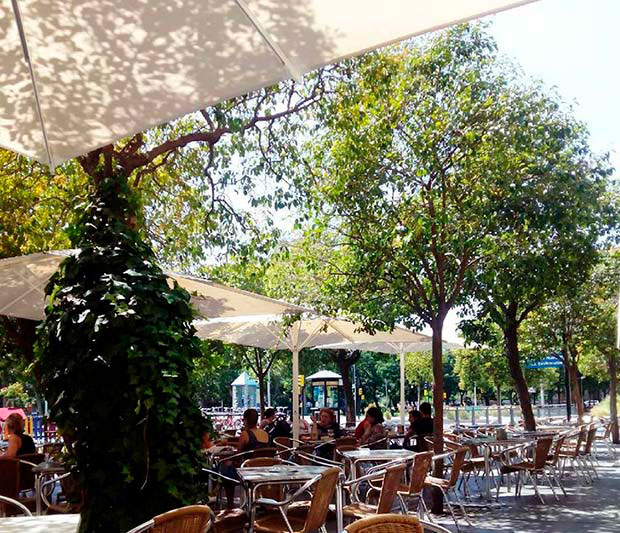 zona para tapear en el entorno de la Plaza San Francisco