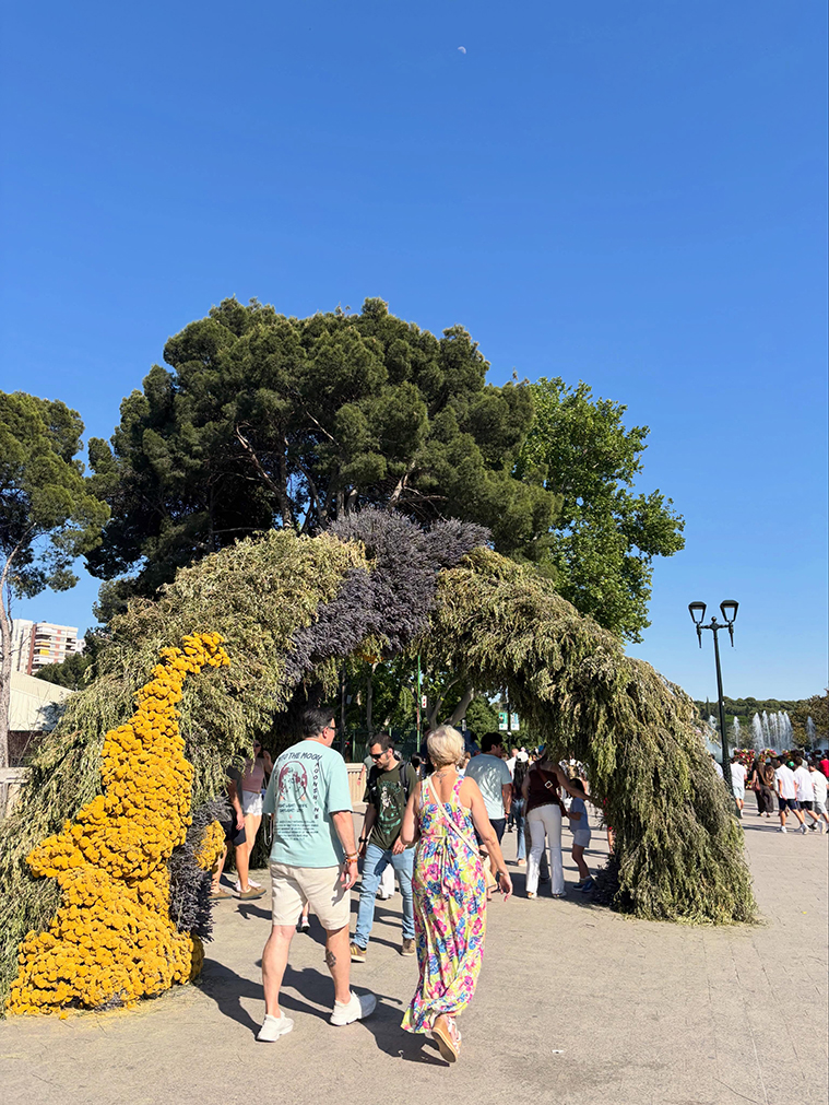 Zaragoza Florece Puente Cantautores Parque Grande