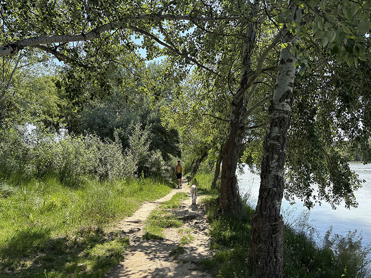 Un Paseo por la margen izquierda del río Ebro de Zaragoza