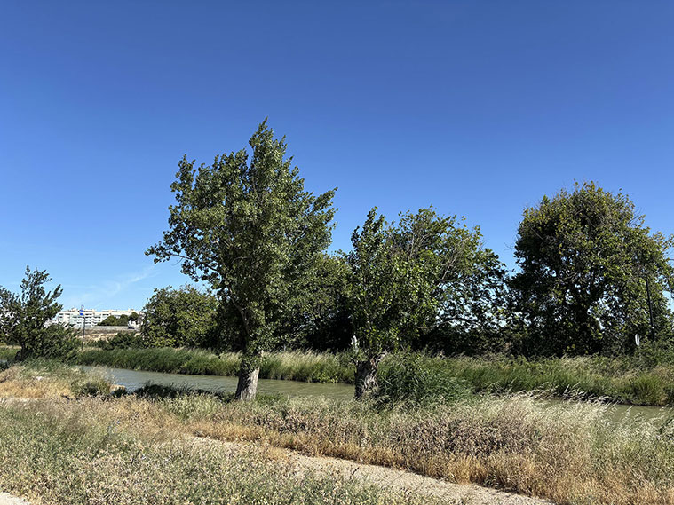 Valdegurriana Canal Imperial
