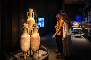 exposición actual de caixaforum zaragoza
