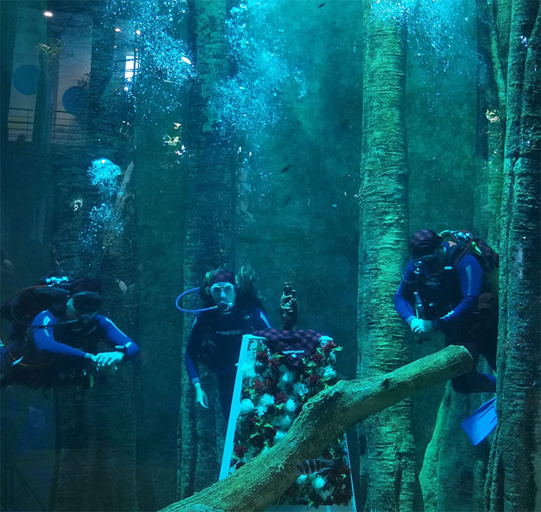 ofrenda floral subacuática a la Virgen del Pilar en el Acuario de Zaragoza